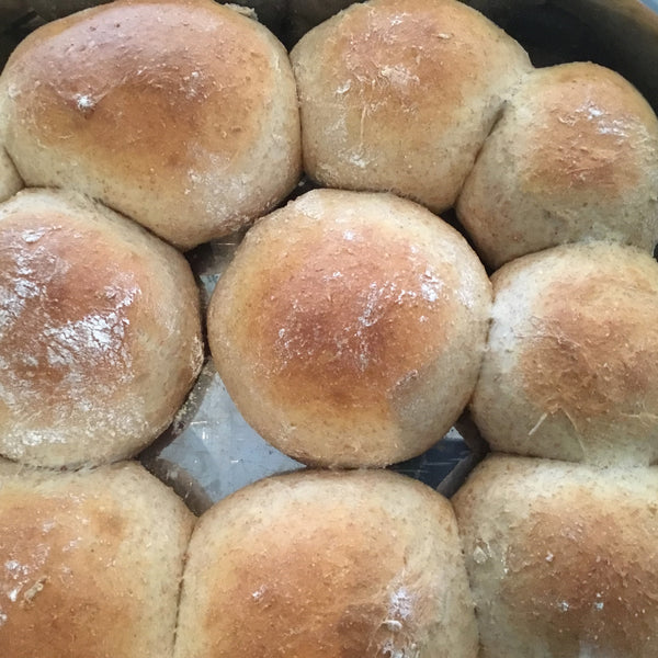 Sprouted Whole Wheat Rolls