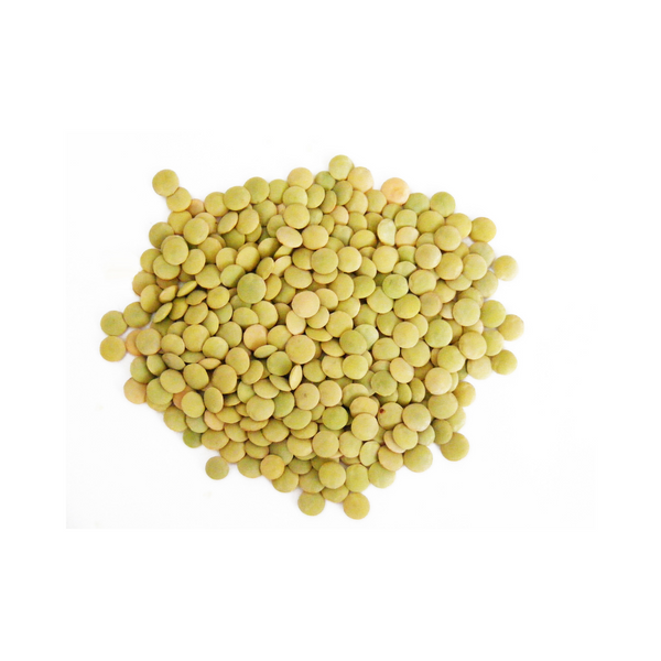 Organic Green Lentils- Bulk