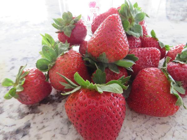 Strawberry Hazelnut Cheesecake: