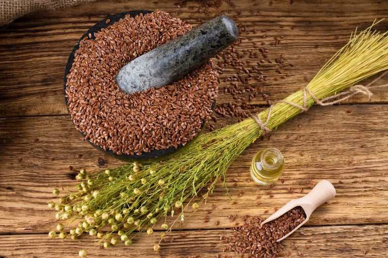 Sprouted Flax and Benefits: