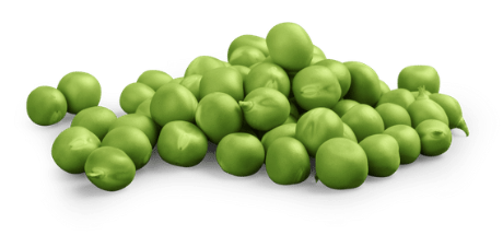 Green pea